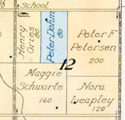 Partial 1917 Plat Township 28N Range E Randolph, Cedar County, Nebraska Sectio n 12